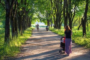 alley, linden trees, river, track, stroll, sparsely, evening, sunny, shadow, greens, square, the park, vista, people, stroller, fresh air, woman with stroller, stroller, stroller, stroller, stroller, stroller, fresh air, fresh air